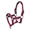Busse Foal Halter Tastic ST