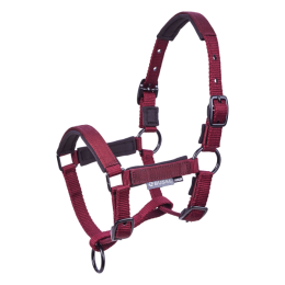 Busse Foal Halter Tastic ST