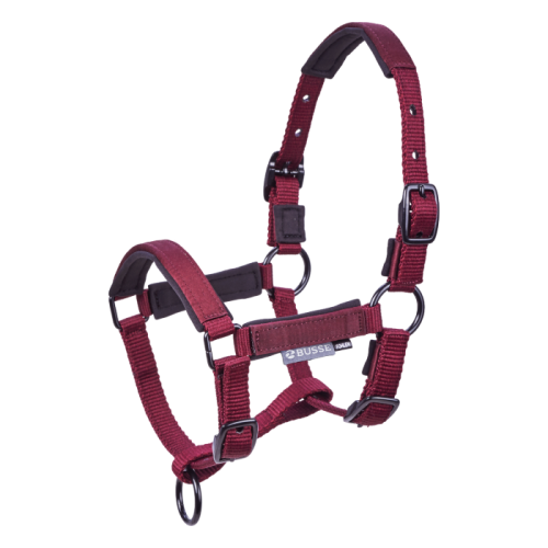 Busse Foal Halter Tastic ST