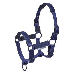 Busse Foal Halter Tastic ST
