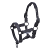 Busse Foal Halter Tastic ST