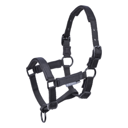 Busse Foal Halter Tastic ST