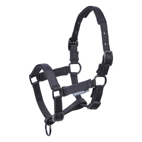 Busse Foal Halter Tastic ST