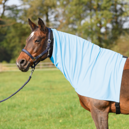 Busse Eczema Neck Extensive