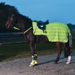 Busse Excursion Blanket Reflection