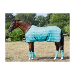 Busse transport fly rug Stripe