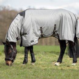 Busse Paddock Fly rug Superb