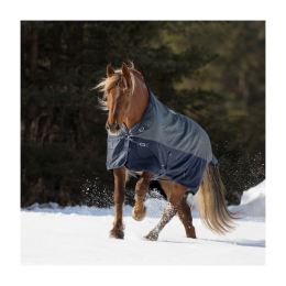 Busse Outdoor rug Active Pro 150