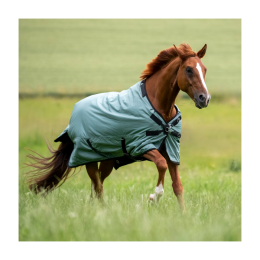 Busse Outdoor rug Flexible Pro 50