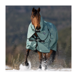 Busse Outdoor rug Flexible Pro 250