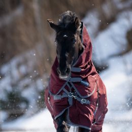 Busse Hood Flexible Pro 100