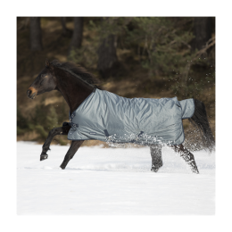 Busse Outdoor rug Windchill 200