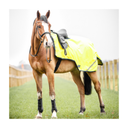 Busse Exercise Blanket Shine 100