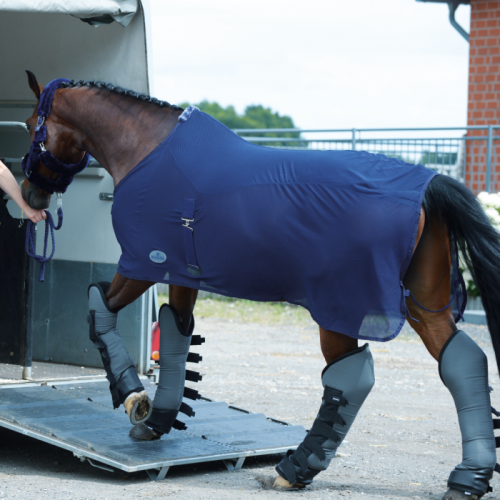 Busse Fleece Rug Summer Fly II