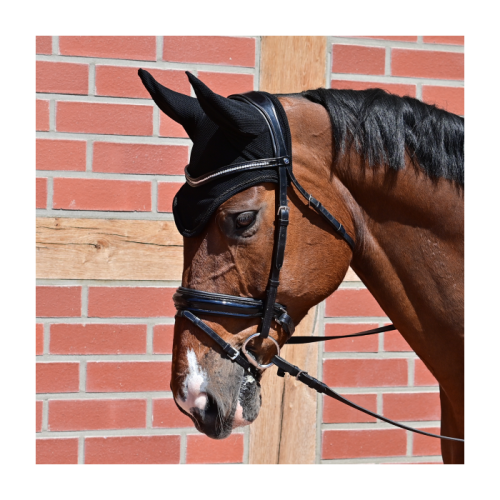 Busse Earnet Fly-Air Mesh