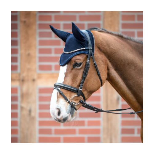 Busse Earnet Fly-Air Mesh