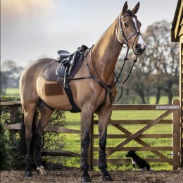 LeMieux Bruin suede saddlepad