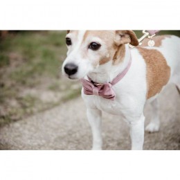Kentucky Bow Tie Velvet