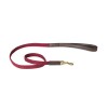 Weatherbeeta Leather Plaited Dog Lead