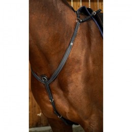Dyon Bridge Breastplate Working By Dyon Collection