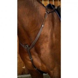 Dyon Bridge Breastplate Working By Dyon Collection