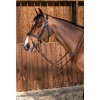 Dyon bridle Flash