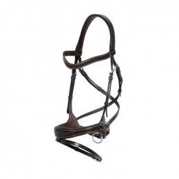 Dyon Working Motion Bridle