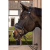 Dyon ComfoHead Bridle