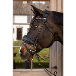 Dyon ComfoHead Bridle