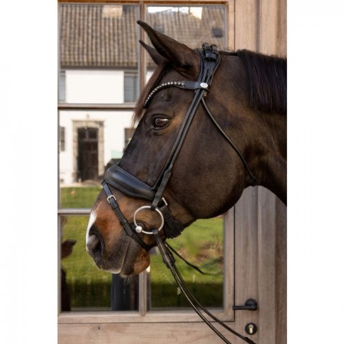 Dyon ComfoHead Bridle