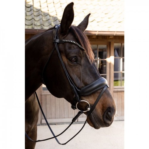 Dyon ComfoHead Bridle
