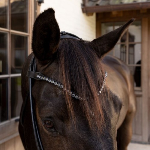 Dyon ComfoHead Bridle