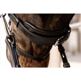 Dyon ComfoHead Bridle