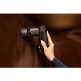 Waldhausen Massager W-Health