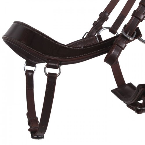QHP Bridle Era