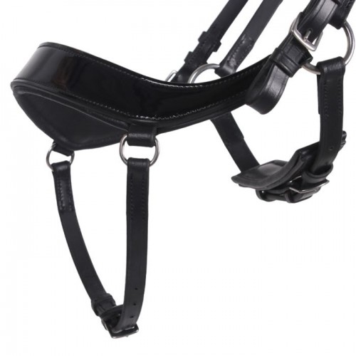 QHP Bridle Era