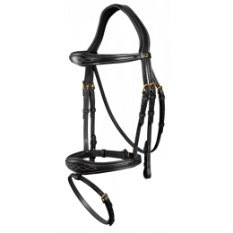 Dyon Bridle anatomic