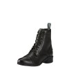 Паддок Ariat Heritage IV в Джодхпуре