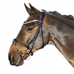 Euroriding bridle La Rochelle English combined noseband