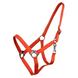Q-essentials Halter Slide Orange