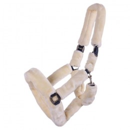 QHP Halter Alaska