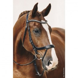 Schockemöhle Bridle Equitus Omega