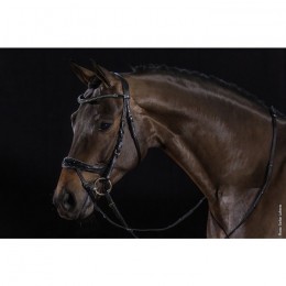 Schockemöhle Bridle Equitus Beta Glam
