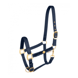 Waldhausen Halter Florenz