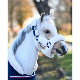 HB Showtime Harry and Hector Fluffy Halter Little sizes