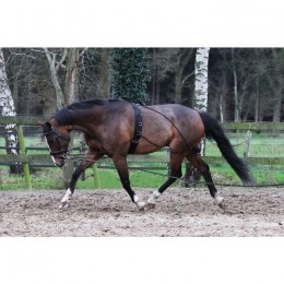 Horka Pessoa Lunging Aid