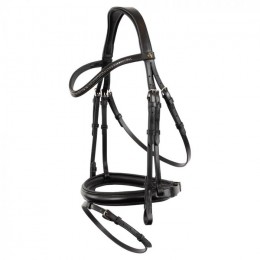 BR Bridle Brackley