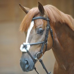 Kavalkade Bridle Diandro mexican noseband