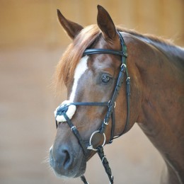 Kavalkade Bridle Carlos mexican noseband