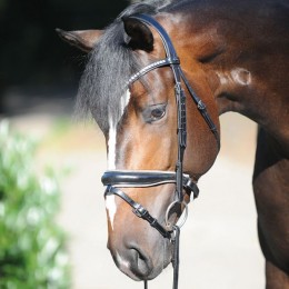 Kavalkade Bridle Charlotte